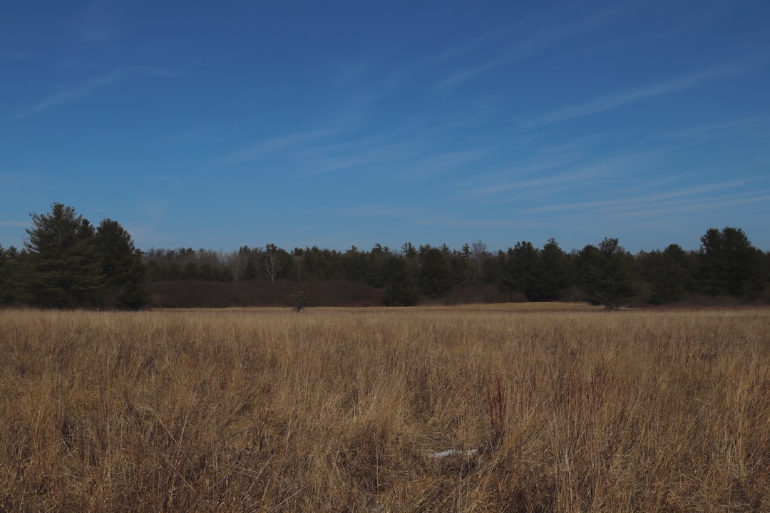 成果を最大化するLP制作！小倉・北九州で選ばれる秘訣